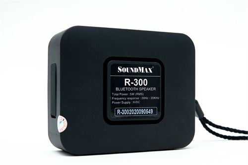LOA  SOUNDMAX R-300